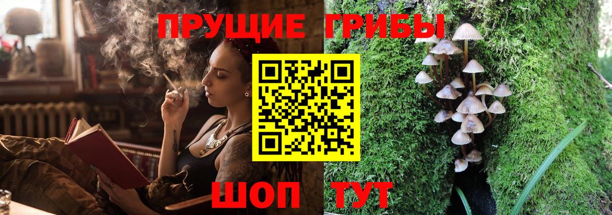 Камень-на-Оби  наркота  Галлюциногенные грибы ЛСД  Вход с VPN  Галлюциногенные грибы Magic Shrooms 