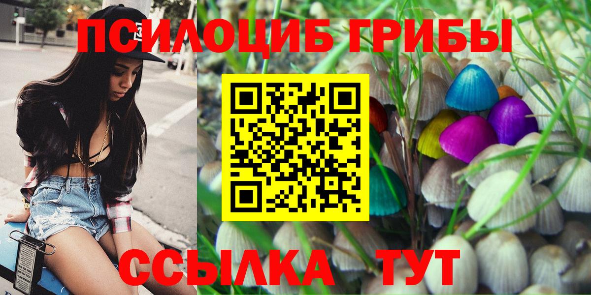 Галлюциногенные грибы ЛСД Камень-на-Оби
